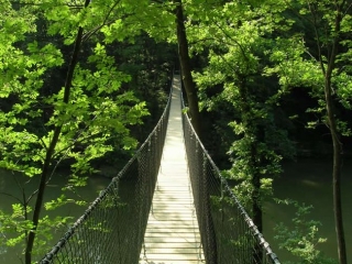 Passerelle sul lago